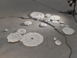 Jeannette Schnüttgen